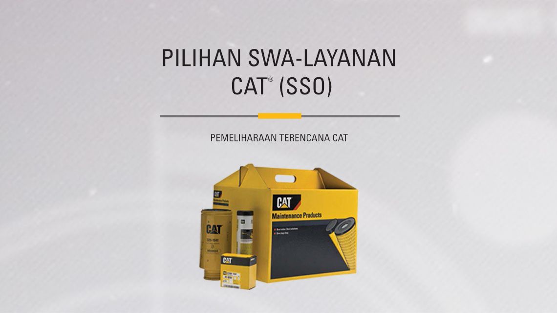 Yellow box of Cat Maitenance Products kit aside miscelaneous parts included. 