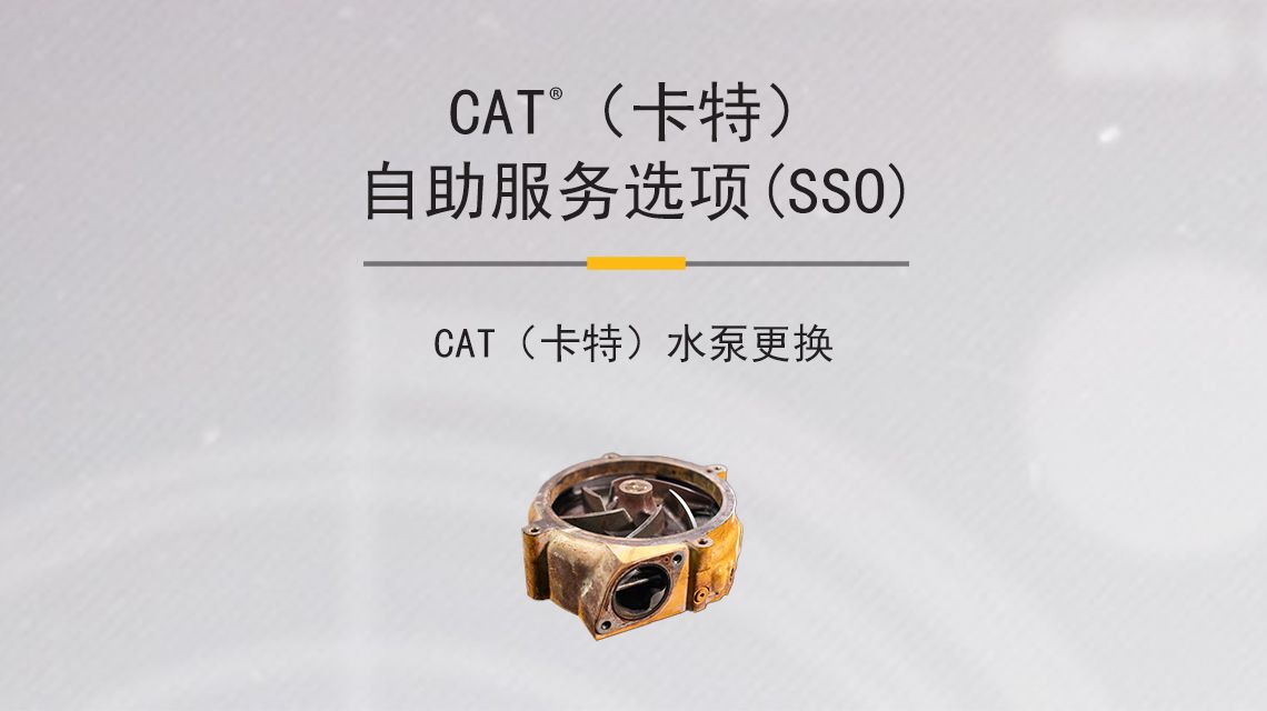 Yellow Cat Water Pump