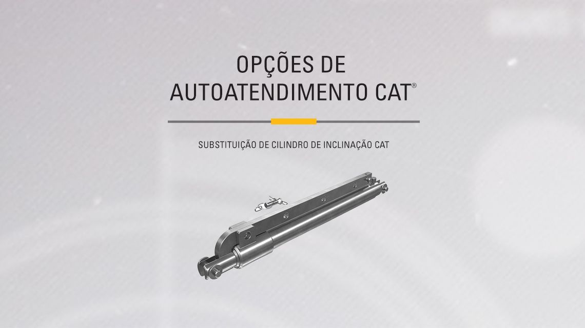 Black and Chrome Cat Hydraulic Cylinder