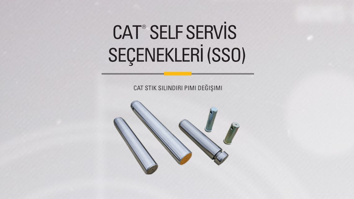 Stick Cylinder Pins and Bearing on gray background