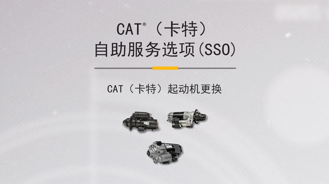 Three variations of different Cat Starters