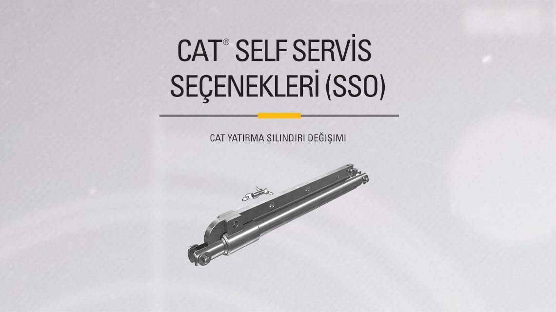 Black and Chrome Cat Hydraulic Cylinder