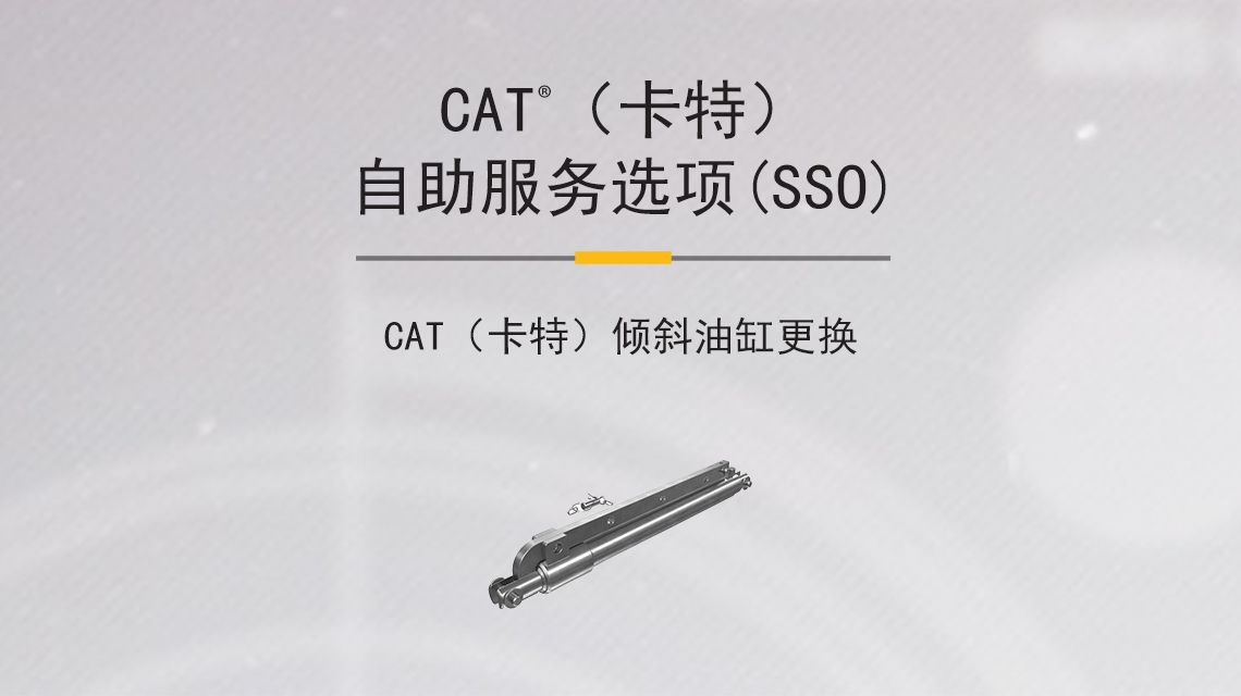 Black and Chrome Cat Hydraulic Cylinder
