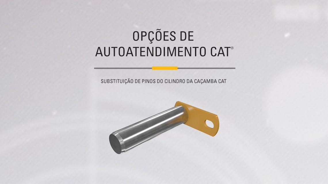 Bucket Pins and bearings on gray background