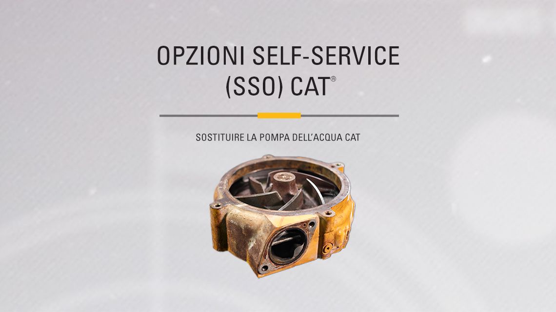 Yellow Cat Water Pump