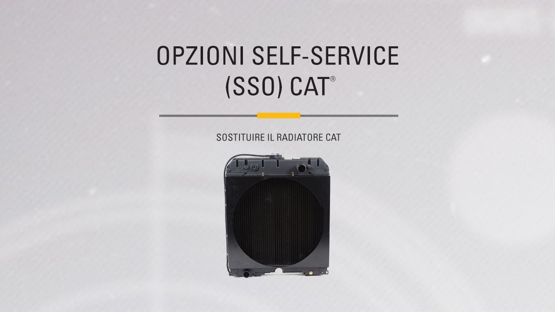 A Cat radiator on a white backdrop