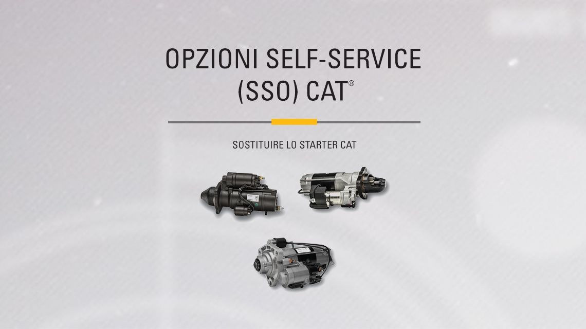 Three variations of different Cat Starters