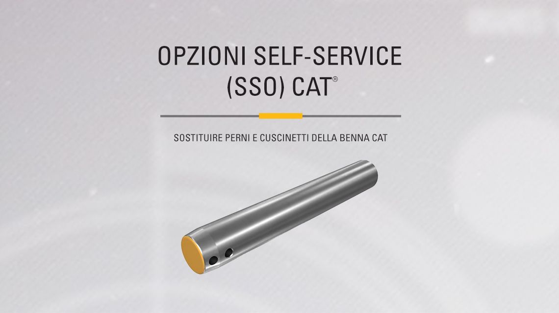 Cat bucket pins and bearings