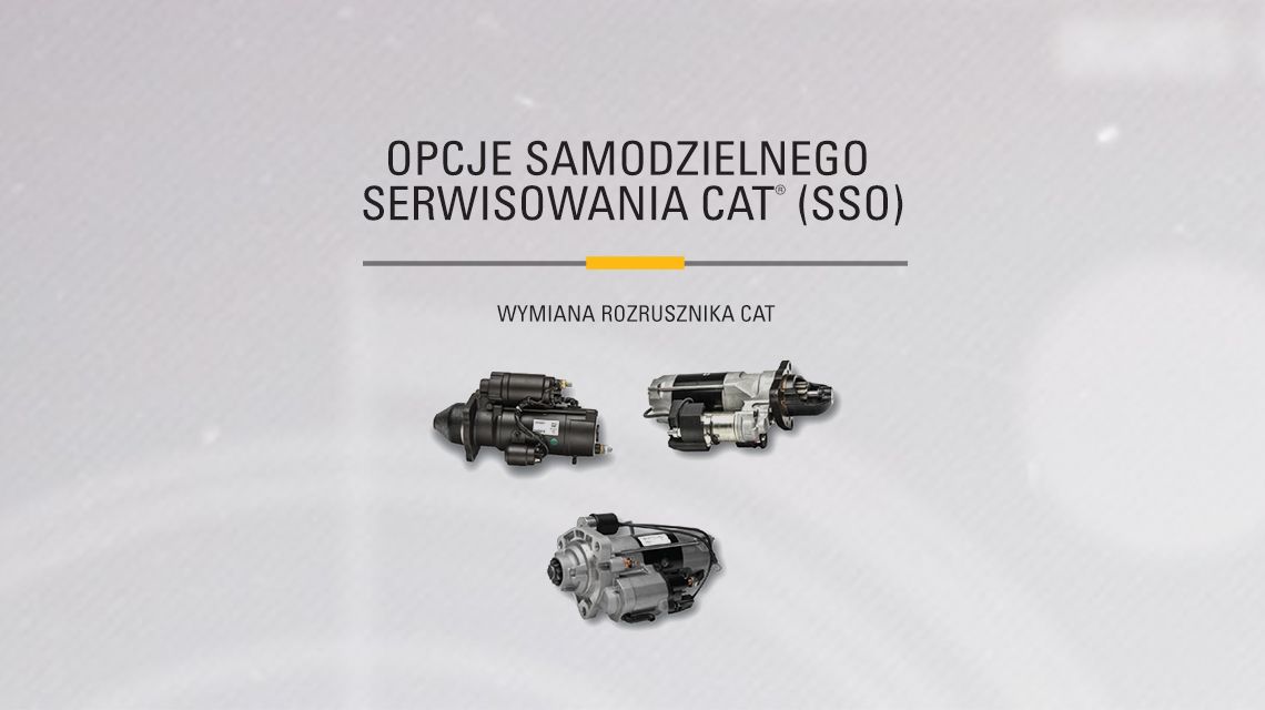 Three variations of different Cat Starters