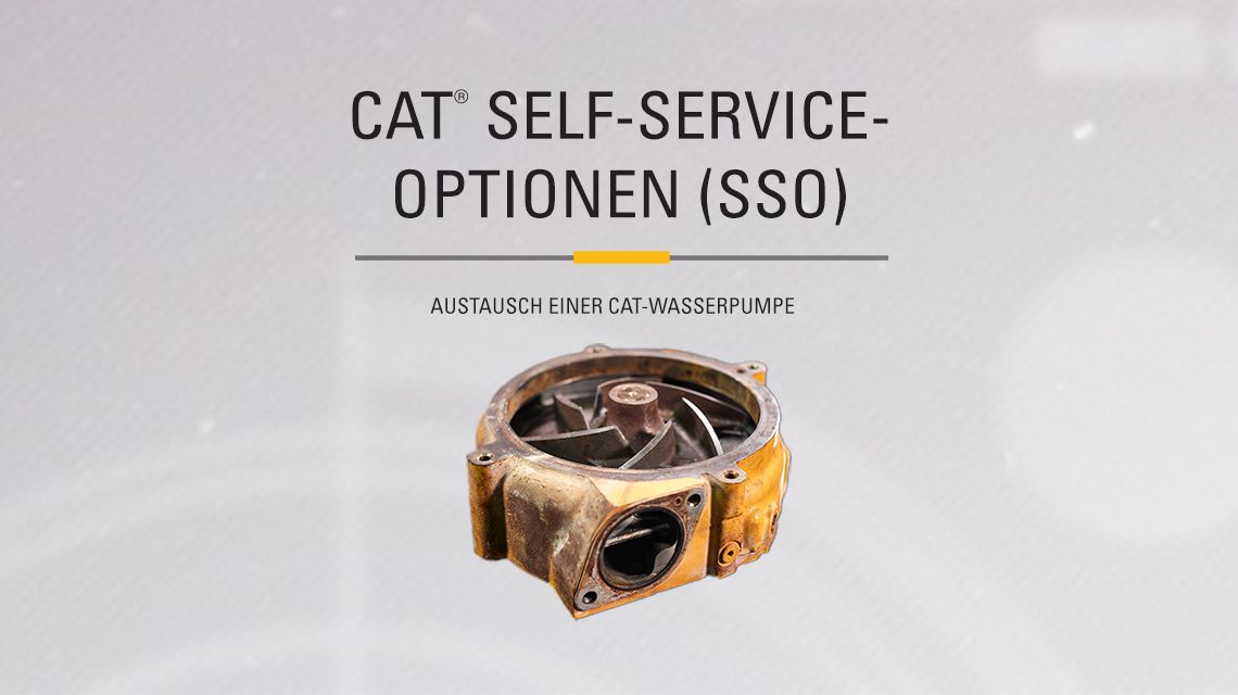 Yellow Cat Water Pump