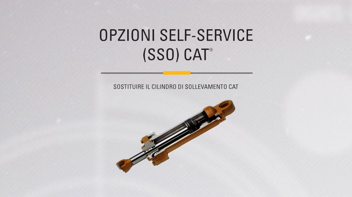 Cat Hydraulic Cylinder