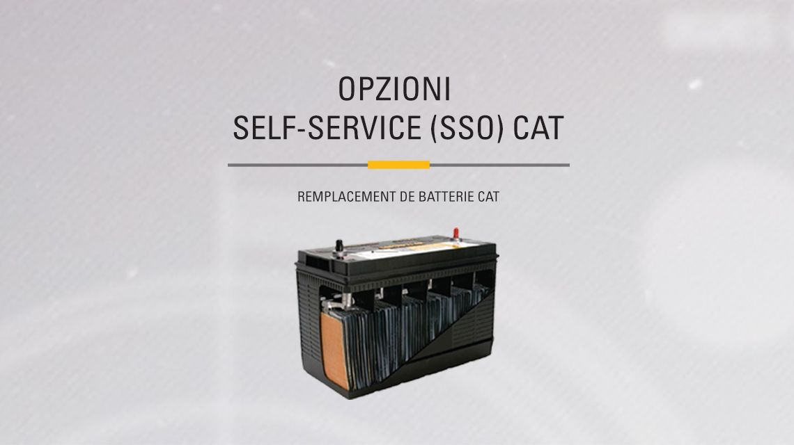 Cat Battery with a cutout to show internal components. 