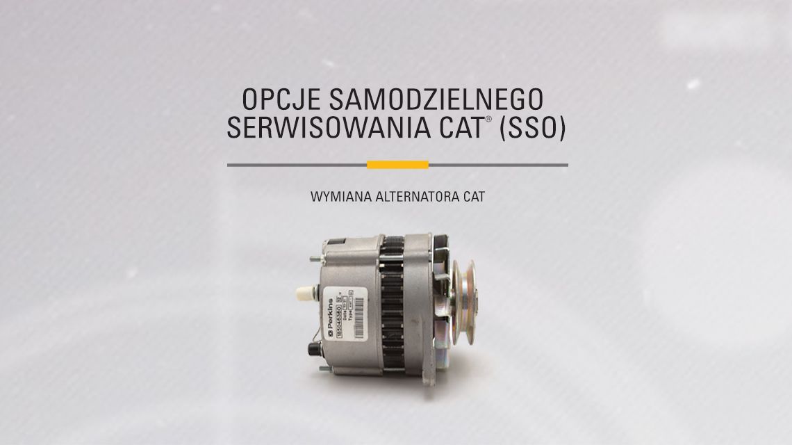 Cat Alternator