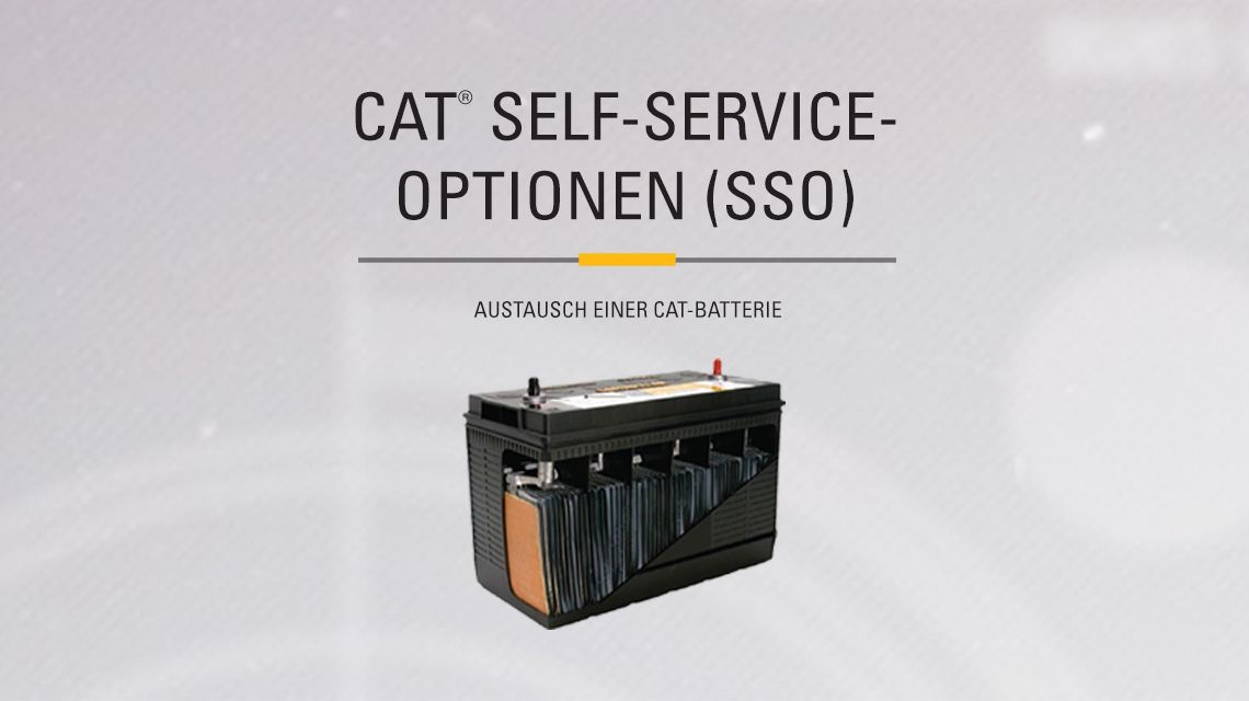 Cat Battery with a cutout to show internal components. 