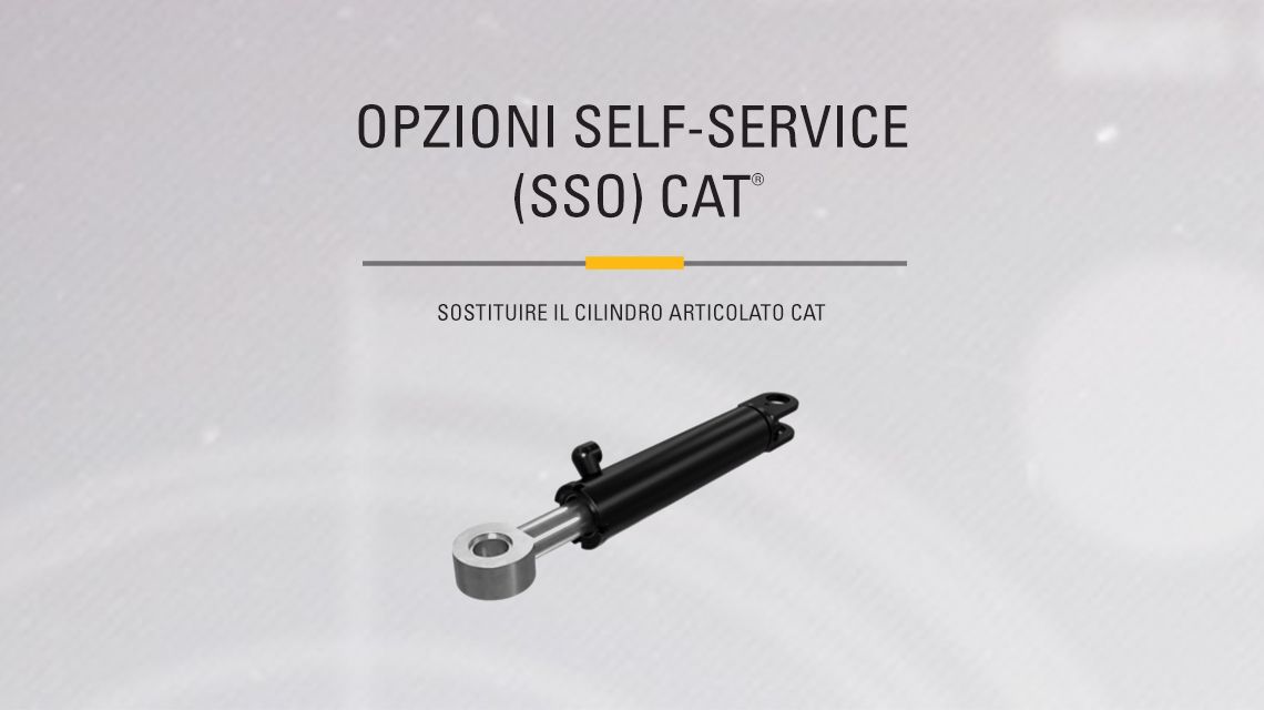 Hydraulic Articulated Cylinder on gray background