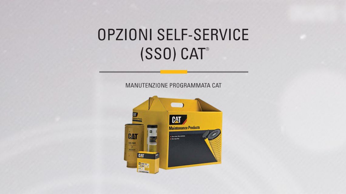 Yellow box of Cat Maitenance Products kit aside miscelaneous parts included. 