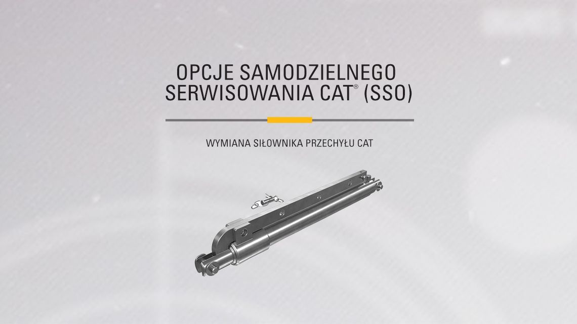Black and Chrome Cat Hydraulic Cylinder