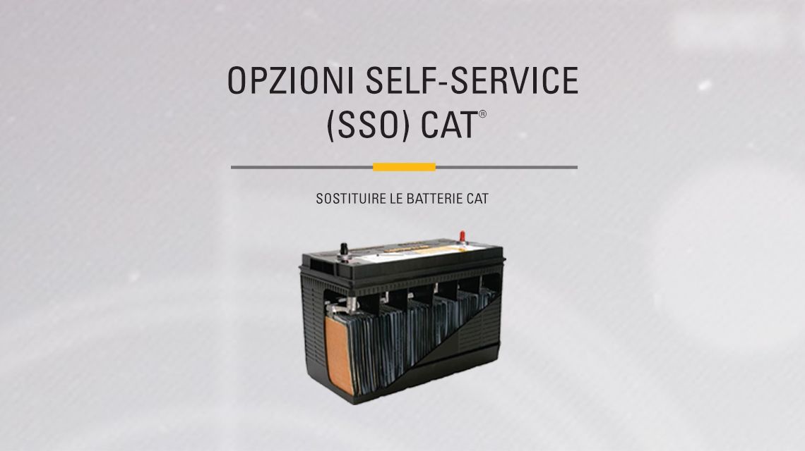 Cat Battery with a cutout to show internal components. 