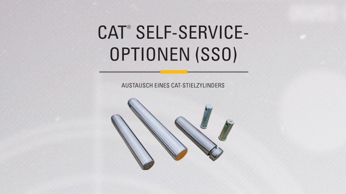 Stick Cylinder Pins and Bearing on gray background