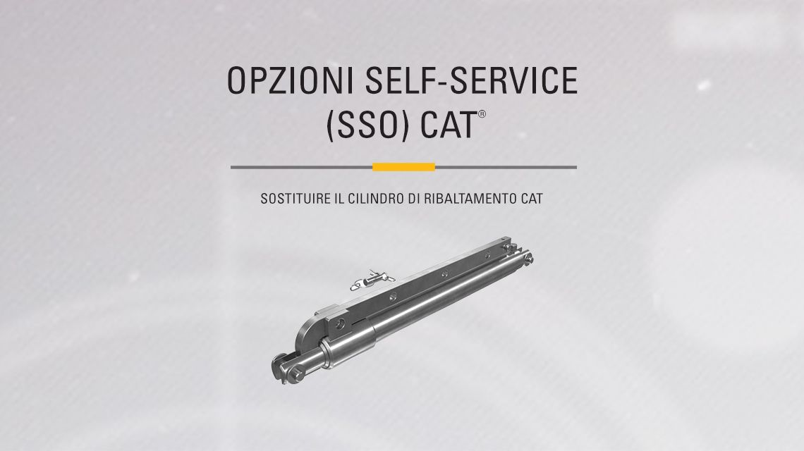Black and Chrome Cat Hydraulic Cylinder