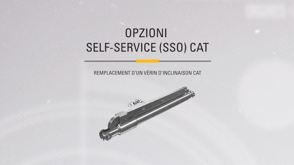 Black and Chrome Cat Hydraulic Cylinder