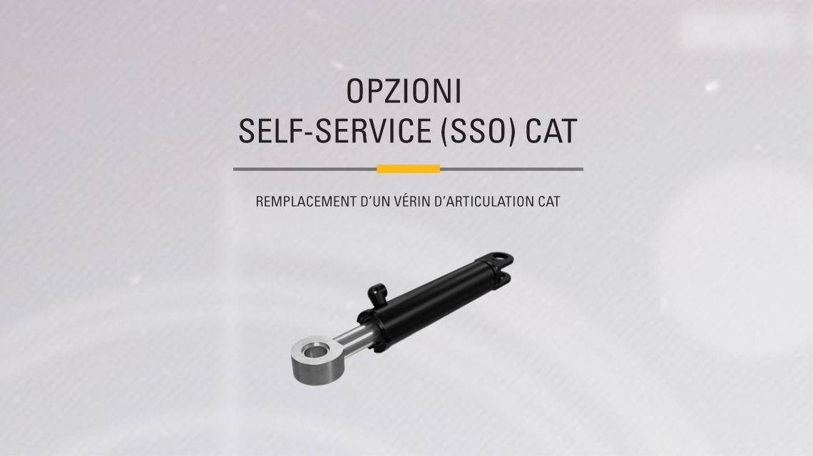 Hydraulic Articulated Cylinder on gray background