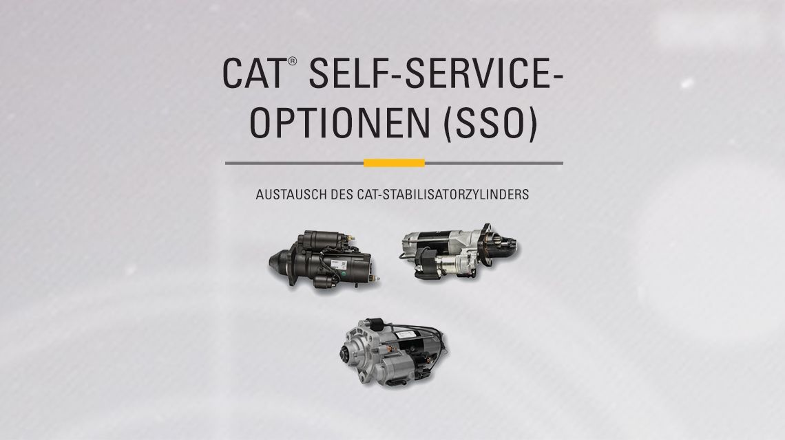 Three variations of different Cat Starters