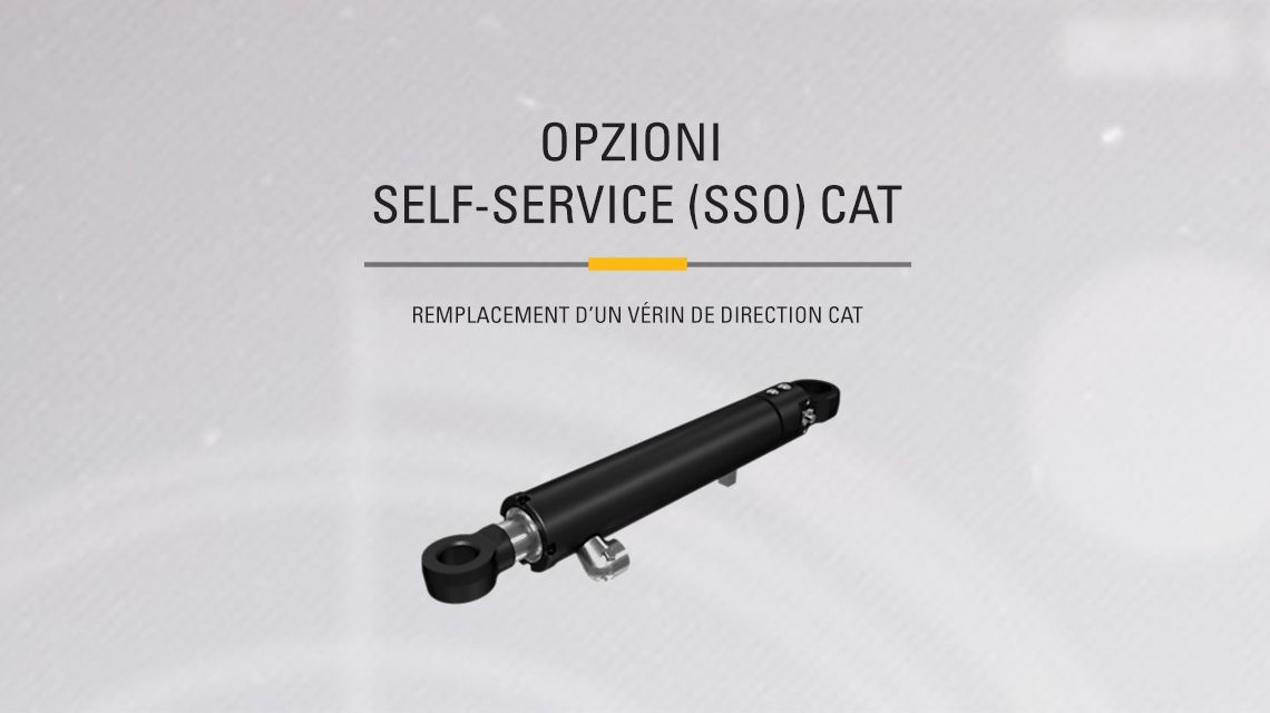 Hydraulic steering cylinder on light gray background