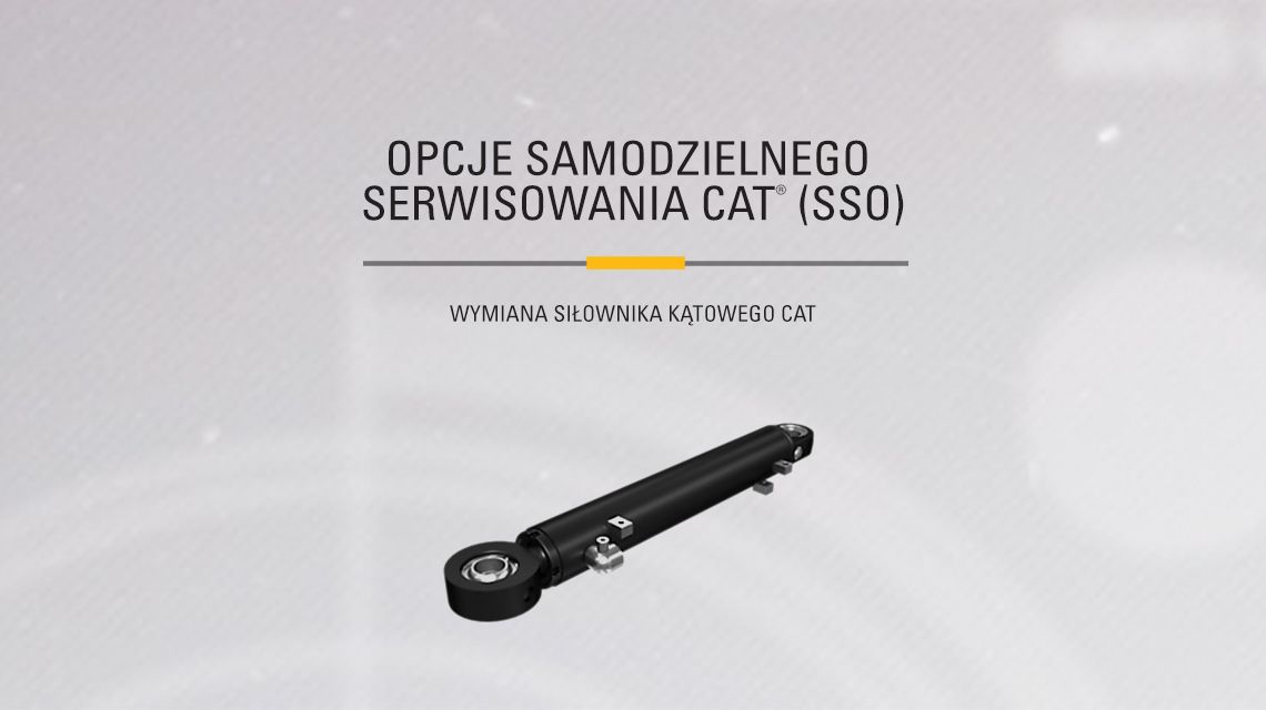 Black Cat Hydraulic Cylinder - Angle Cylinder