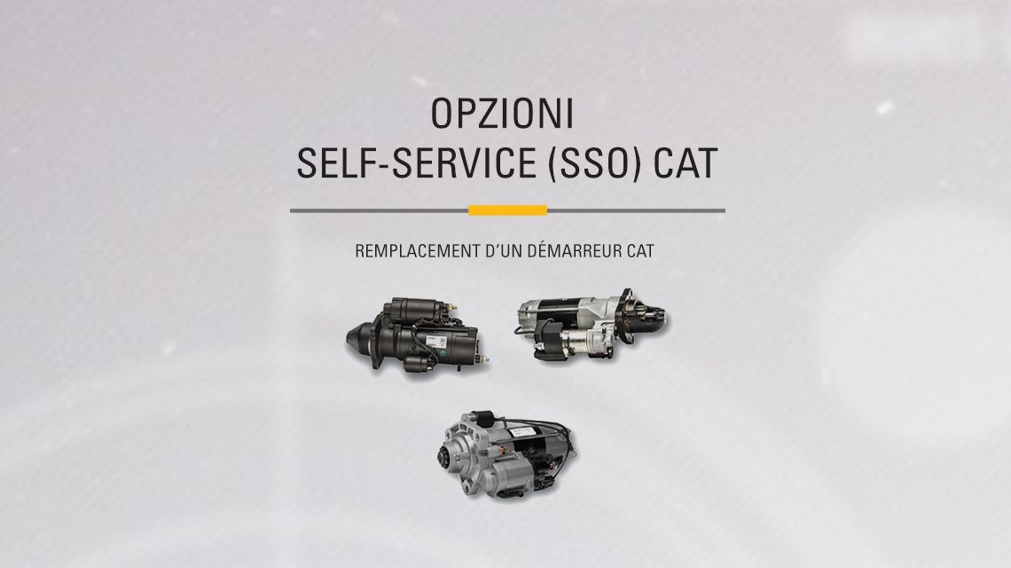 Three variations of different Cat Starters