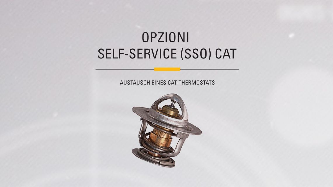 Detailed view of a Cat Coolant Temperature Regulator (Thermostat)