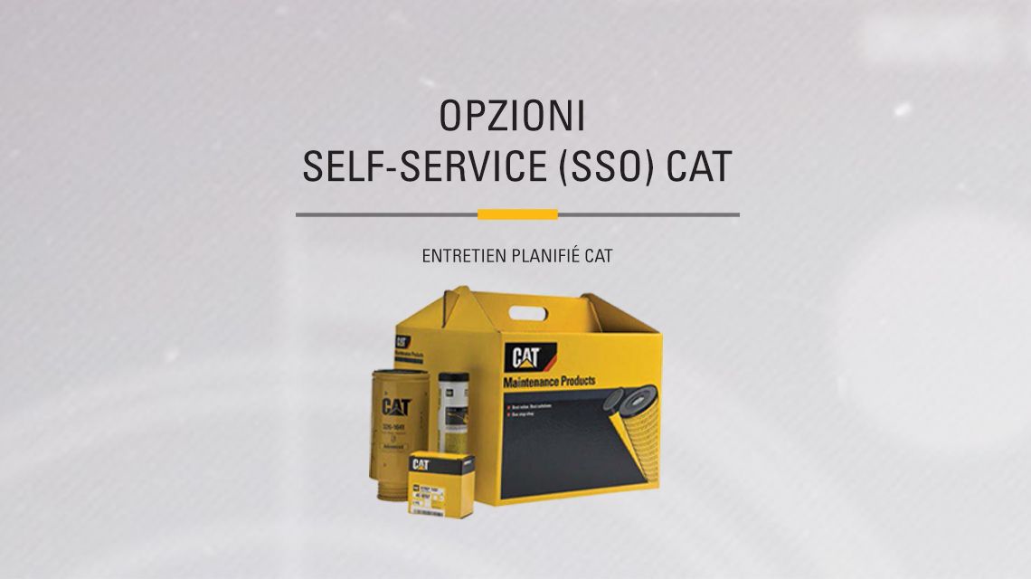 Yellow box of Cat Maitenance Products kit aside miscelaneous parts included. 