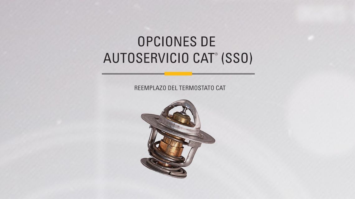 Detailed view of a Cat Coolant Temperature Regulator (Thermostat)