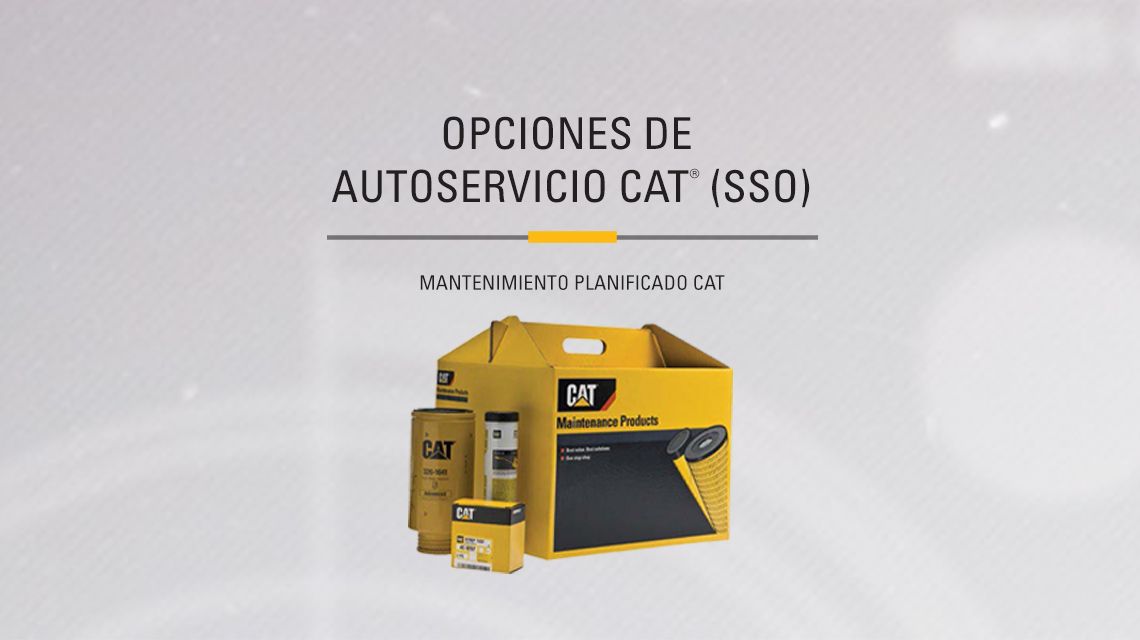 Yellow box of Cat Maitenance Products kit aside miscelaneous parts included. 