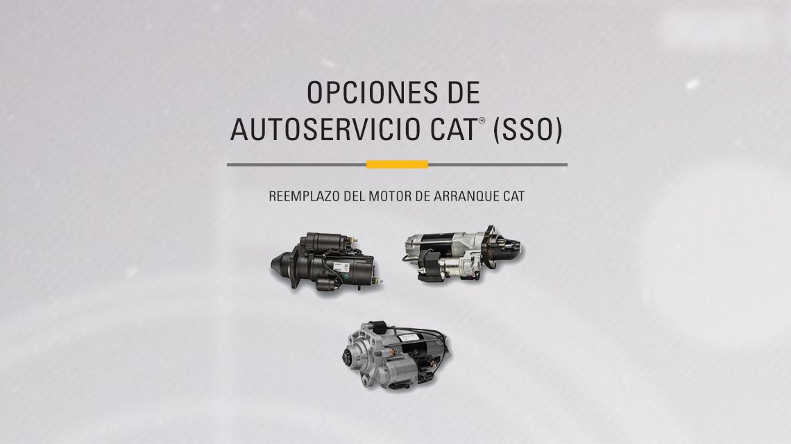 Three variations of different Cat Starters