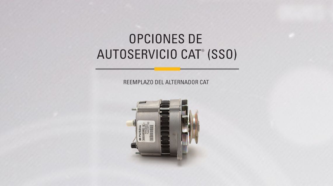 Cat Alternator