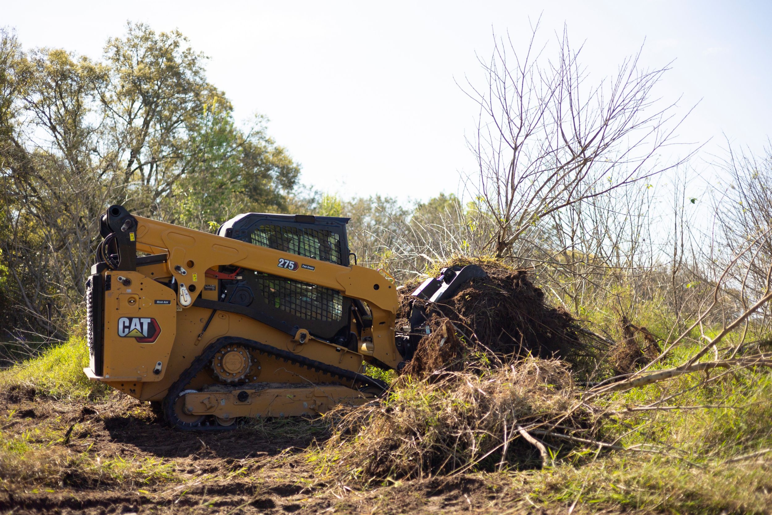 275 eliminación de restos de árboles