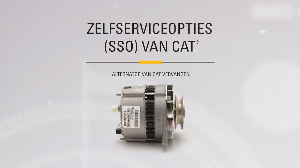 Cat Alternator