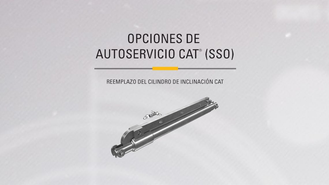 Black and Chrome Cat Hydraulic Cylinder