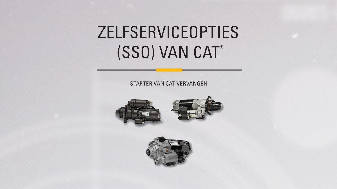 Three variations of different Cat Starters