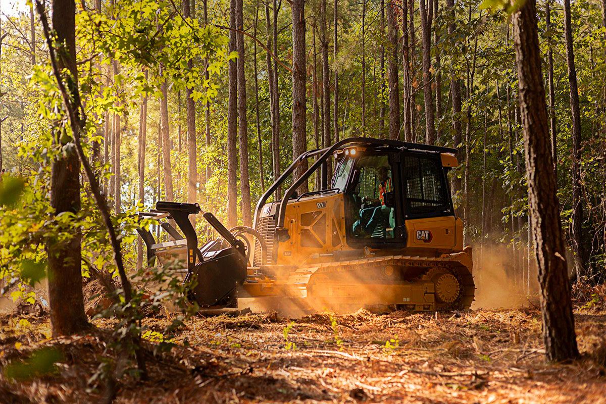 Tractor D1 en el bosque