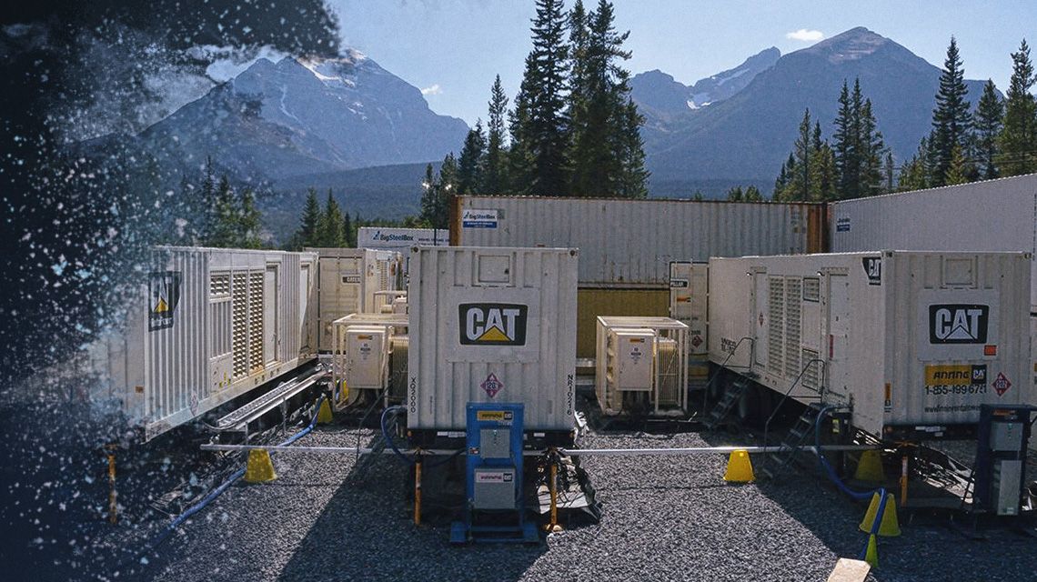 Cat Generators