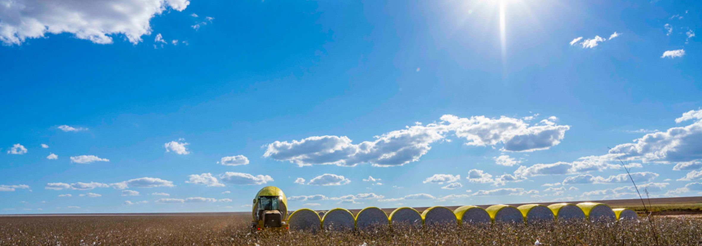 agriculture