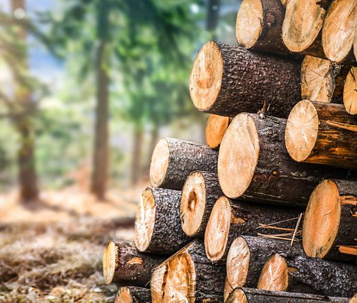 Erhöhen Sie die Effizienz und Rentabilität