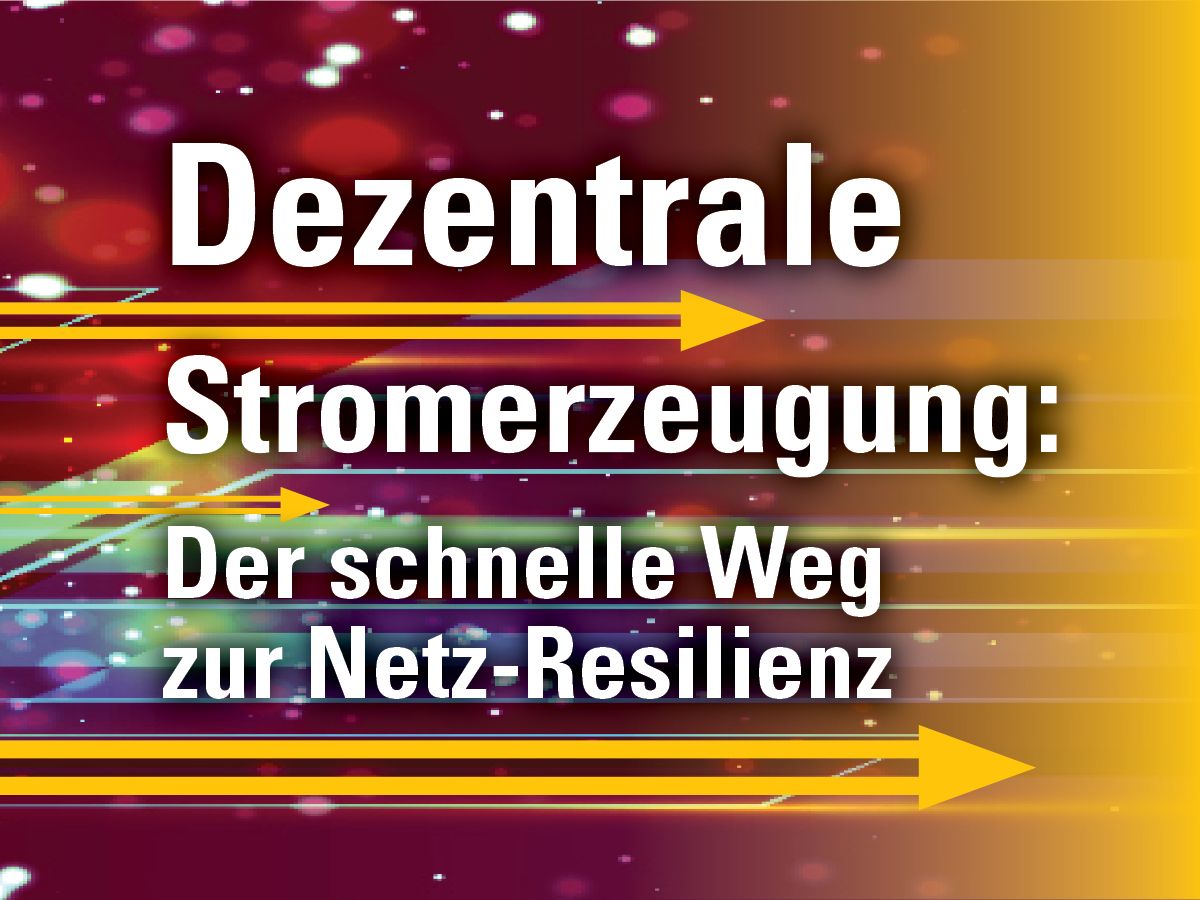 Dezentrale Stromerzeugung: Der schnelle Weg zur Netz-Resilienz