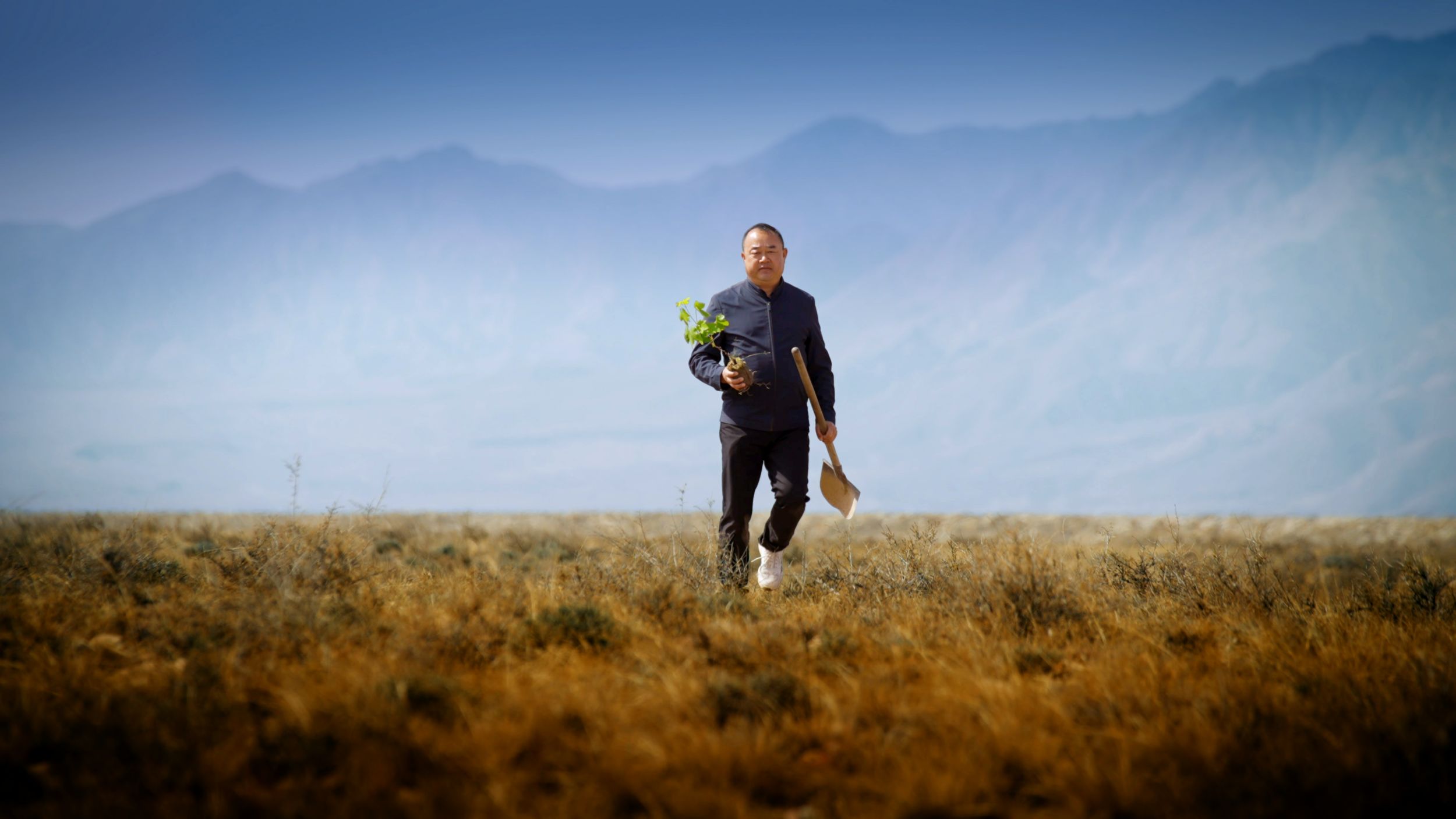 CM5806-Grape-Cultivation