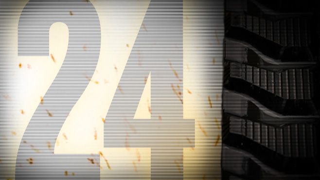 Cat Rubbertrack highlighting 0% for 24 months offer