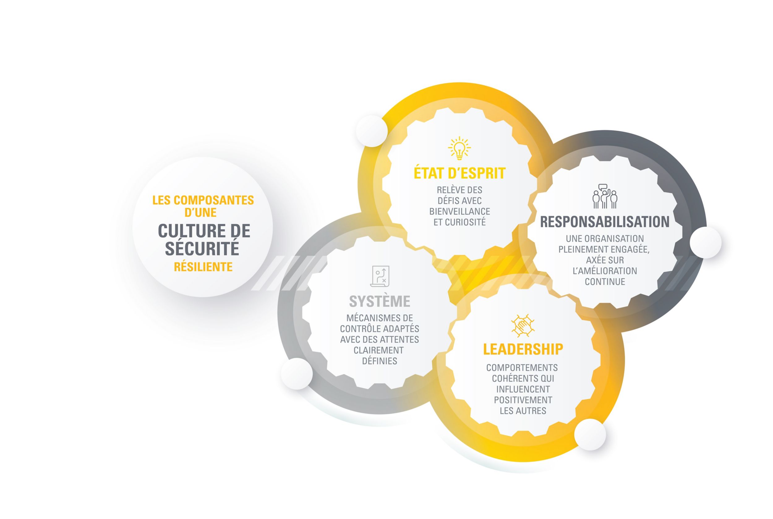 Components of a Resilient Safety Culture