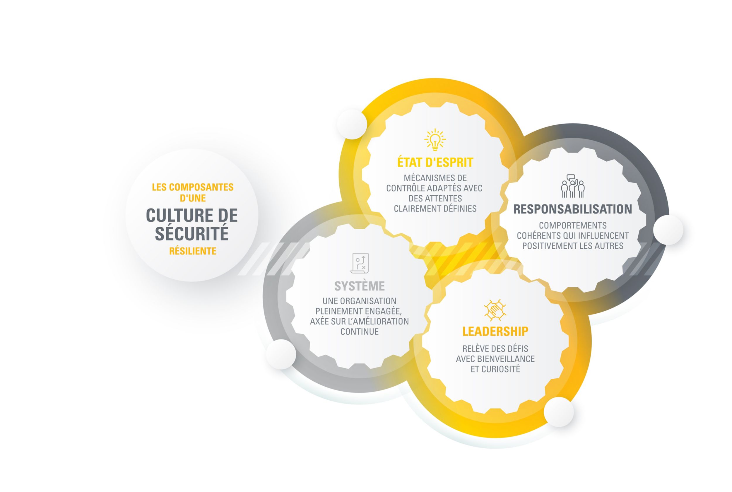 Components of a Resilient Safety Culture