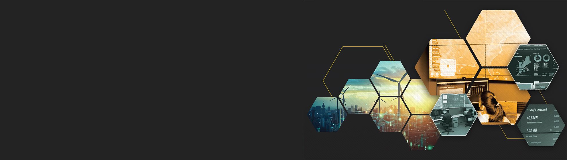 DERMS with a Difference Brochure